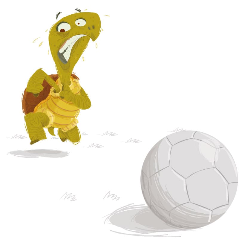 Tartaruga e o futebol